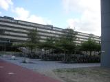 090924-NL-Way.home